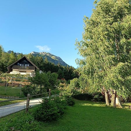 Kralj Matjaz - The Green Escape Under Alps Golnik エクステリア 写真