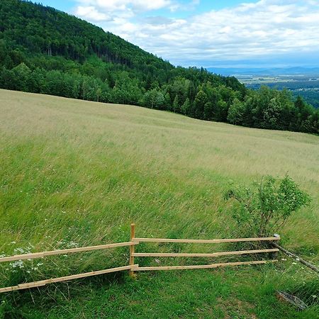 Kralj Matjaz - The Green Escape Under Alps Golnik エクステリア 写真