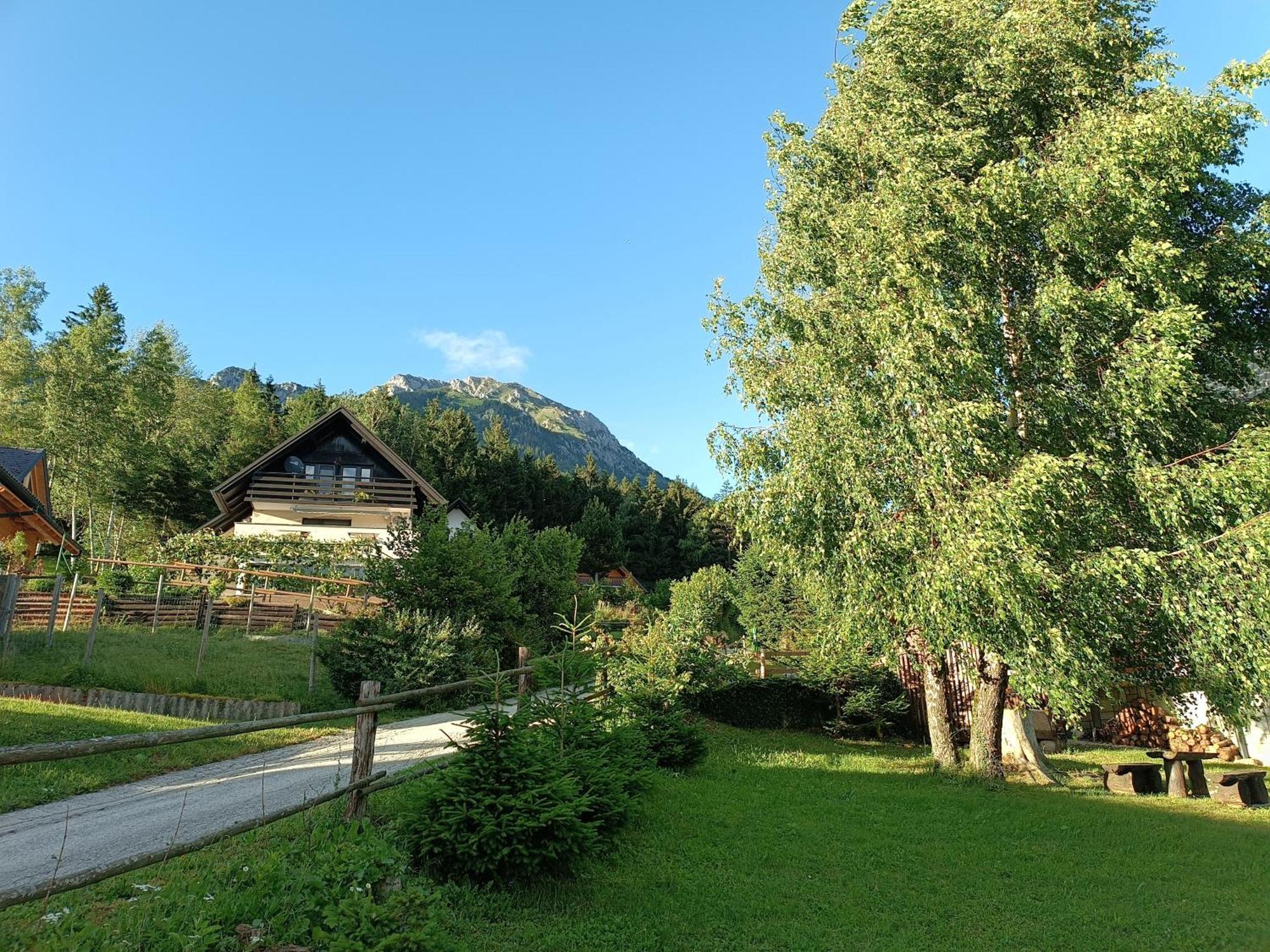 Kralj Matjaz - The Green Escape Under Alps Golnik エクステリア 写真