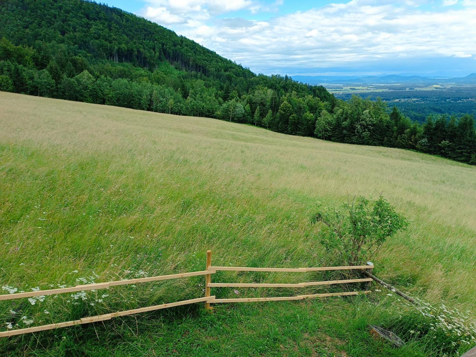 Kralj Matjaz - The Green Escape Under Alps Golnik エクステリア 写真
