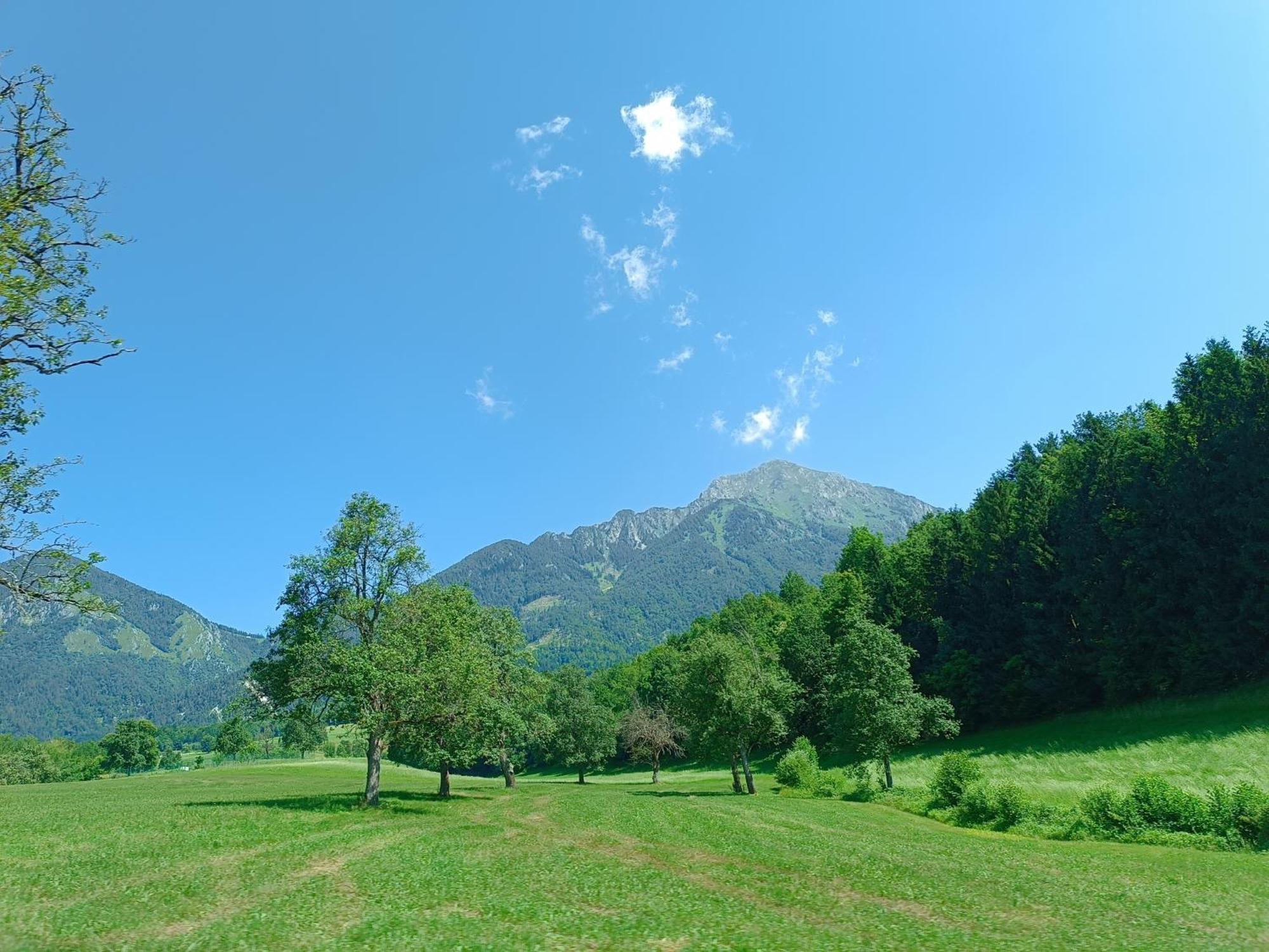 Kralj Matjaz - The Green Escape Under Alps Golnik エクステリア 写真